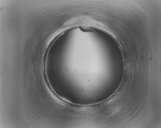 X0000067491523200604071151