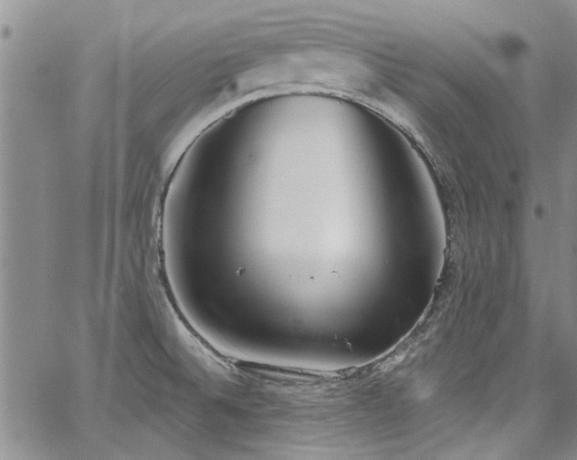 X0000067491524200604071151