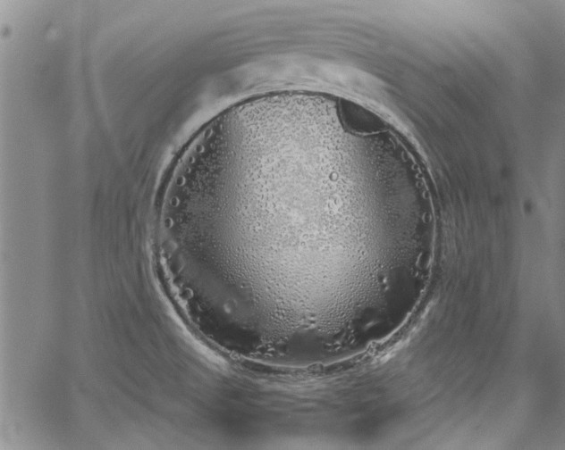 X0000067491525200604071151