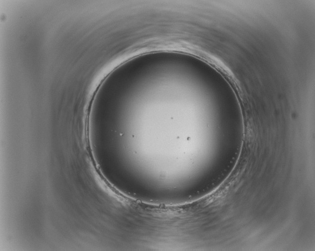 X0000067491528200604071151