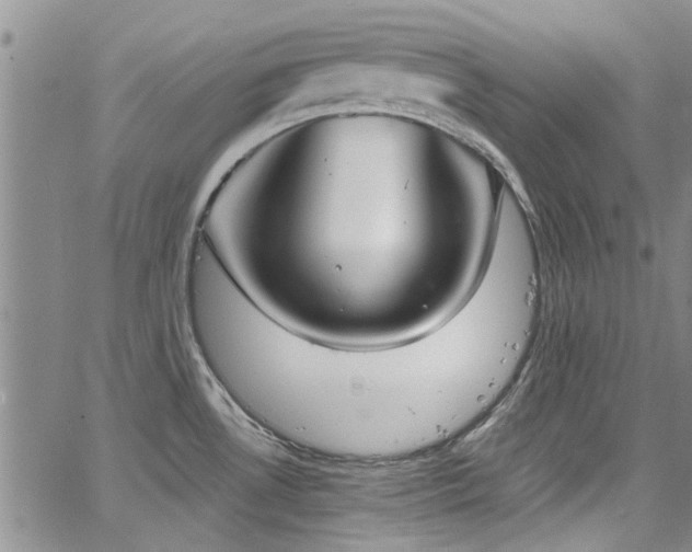 X0000067491530200604071151