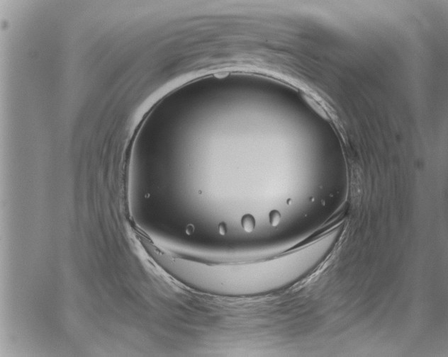 X0000067491534200604071151