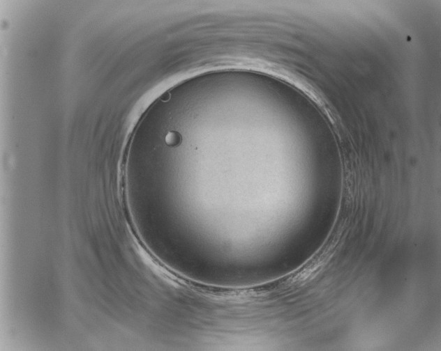 X0000067491535200604071151