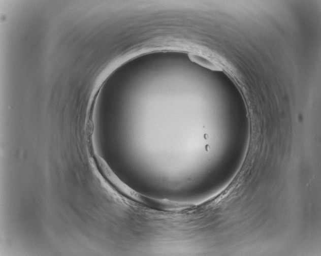 X0000067491536200604071151