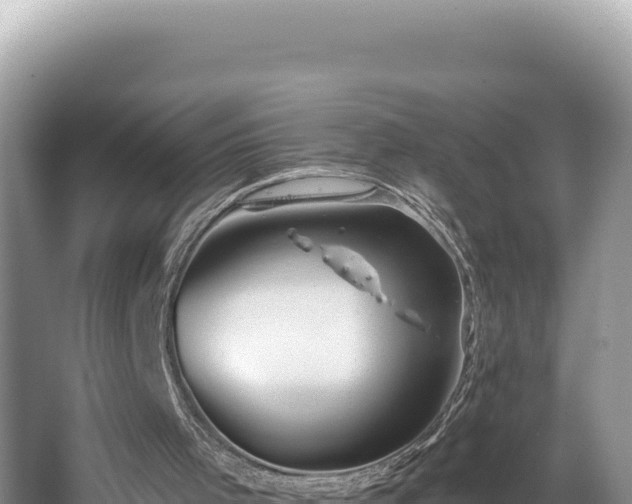 X0000067490001200604101307