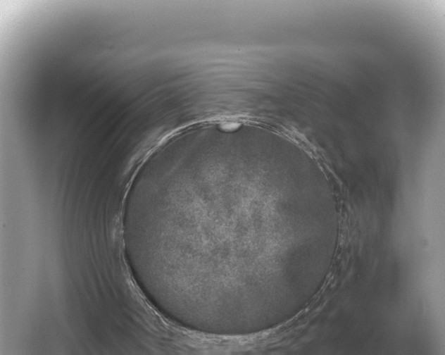 X0000067490002200604101307