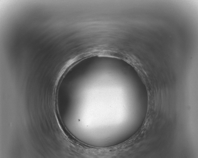 X0000067490003200604101307