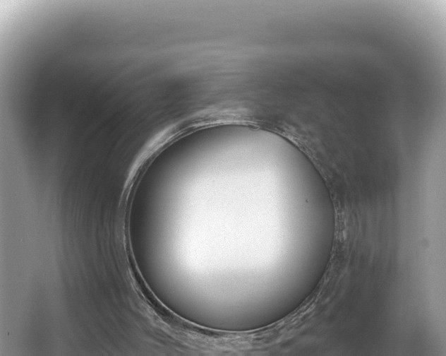 X0000067490004200604101307