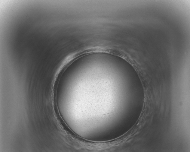 X0000067490006200604101307