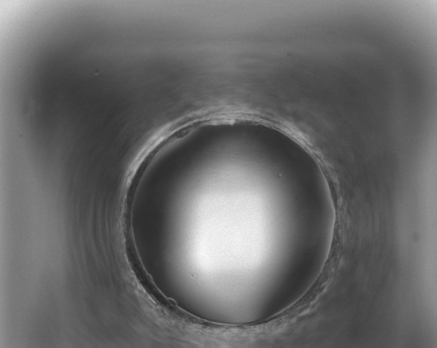 X0000067490007200604101307