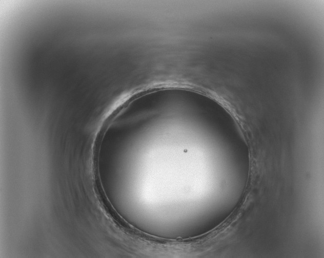 X0000067490008200604101307