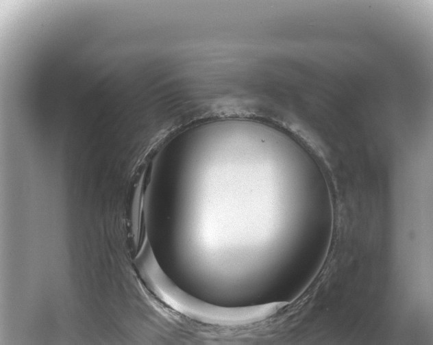 X0000067490009200604101307