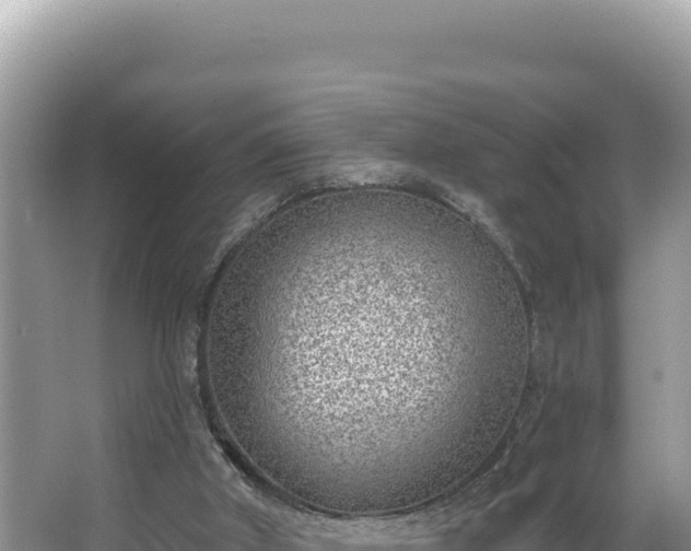 X0000067490010200604101307