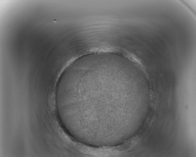 X0000067490012200604101307