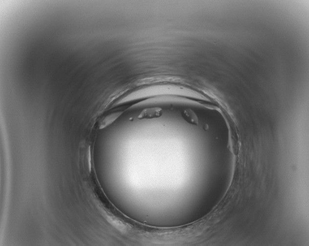 X0000067490013200604101307