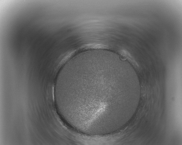 X0000067490014200604101307