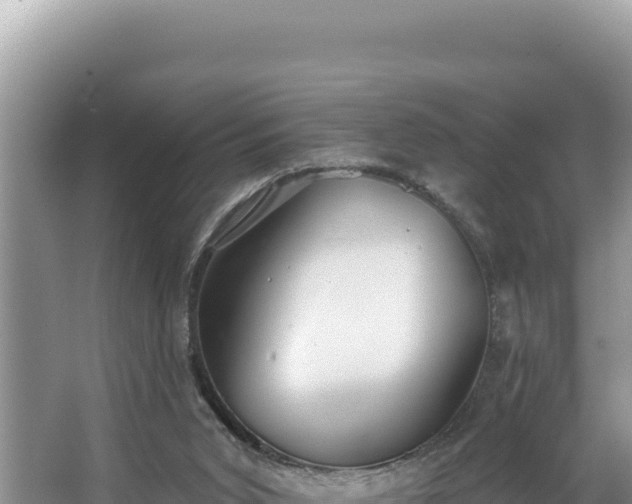 X0000067490015200604101307