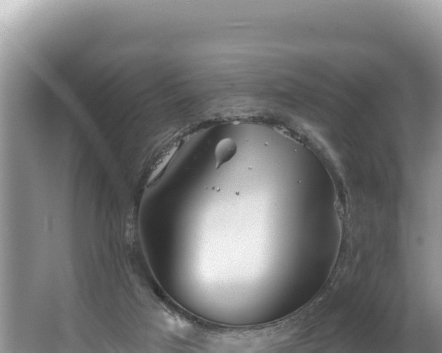 X0000067490017200604101307