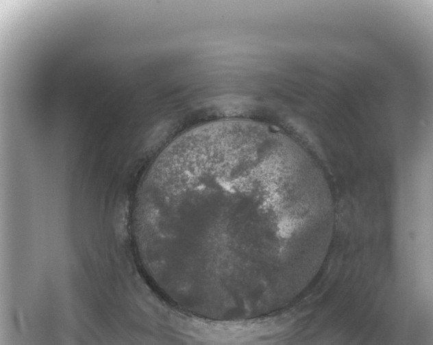 X0000067490018200604101307