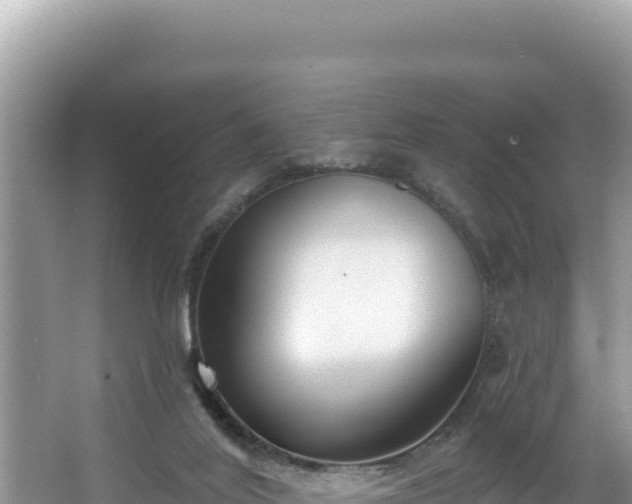 X0000067490020200604101307