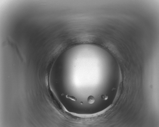 X0000067490021200604101307