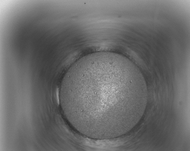 X0000067490022200604101307