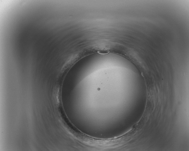 X0000067490023200604101307