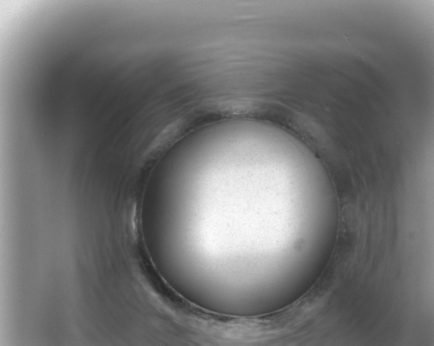 X0000067490024200604101307