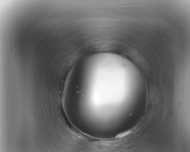 X0000067490025200604101307