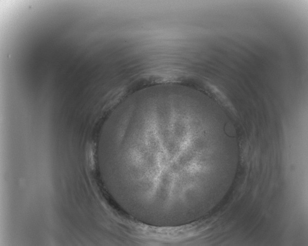 X0000067490026200604101307