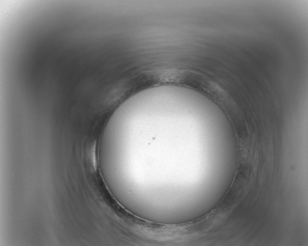 X0000067490028200604101307