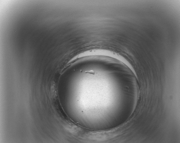 X0000067490029200604101307