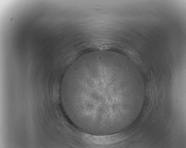 X0000067490030200604101307