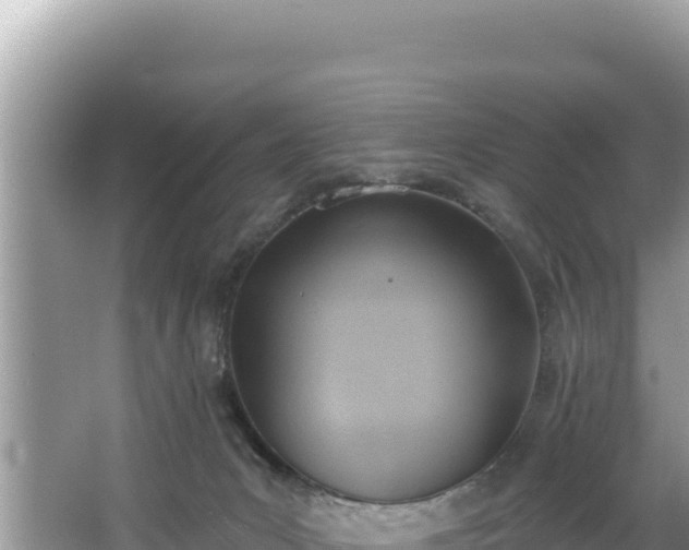 X0000067490031200604101307