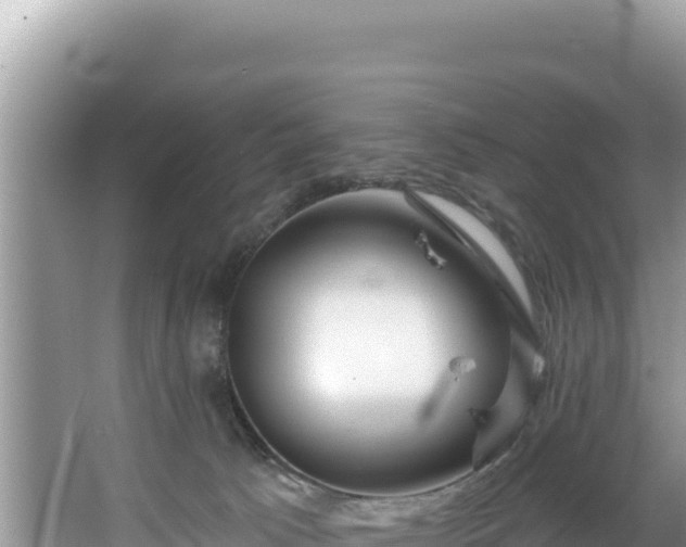 X0000067490033200604101307