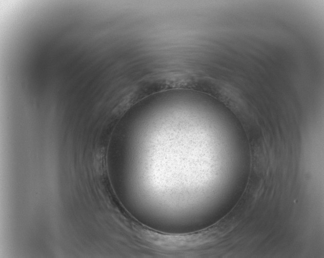 X0000067490034200604101307