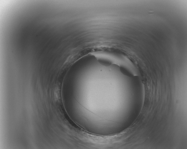 X0000067490035200604101307