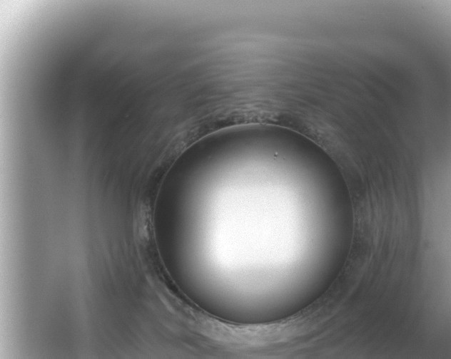 X0000067490038200604101307