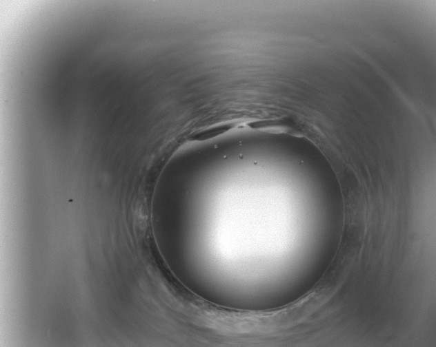 X0000067490040200604101307