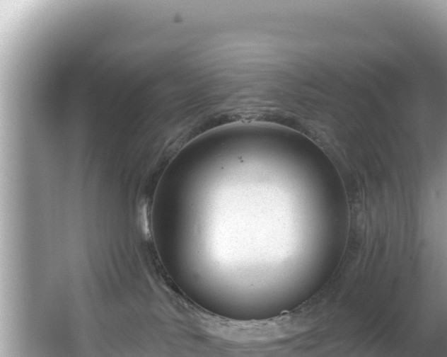 X0000067490042200604101306