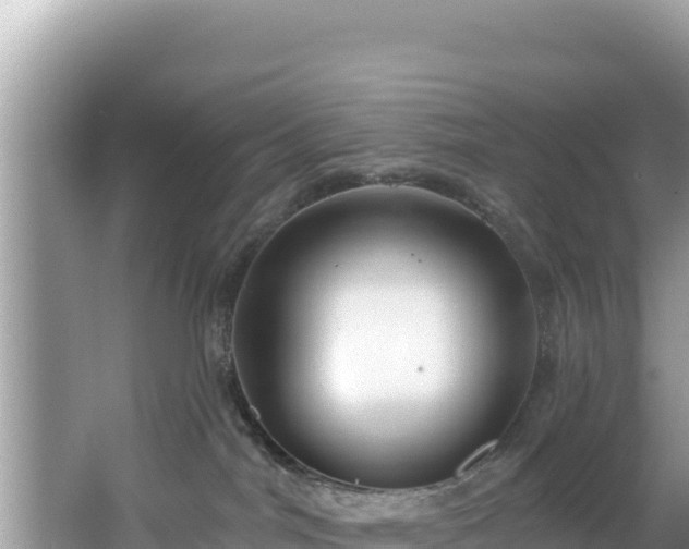 X0000067490044200604101306