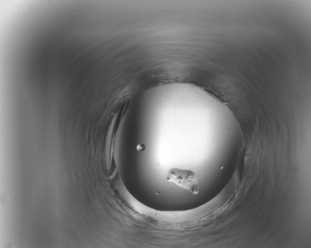 X0000067490045200604101306