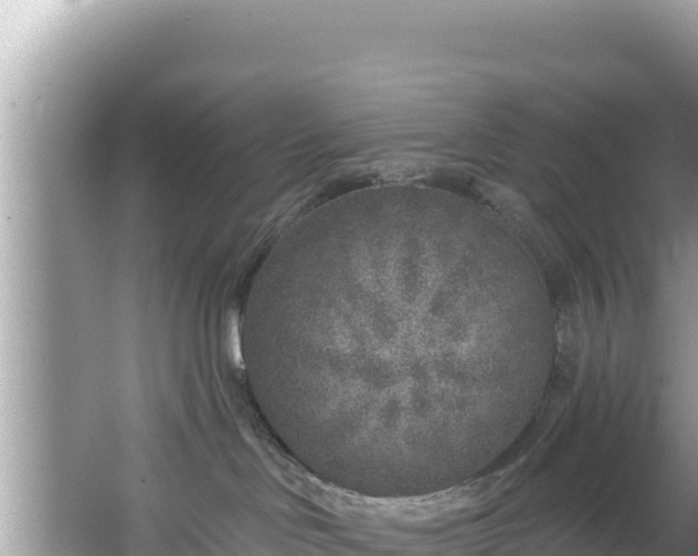 X0000067490046200604101306