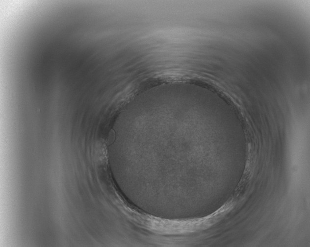 X0000067490048200604101306