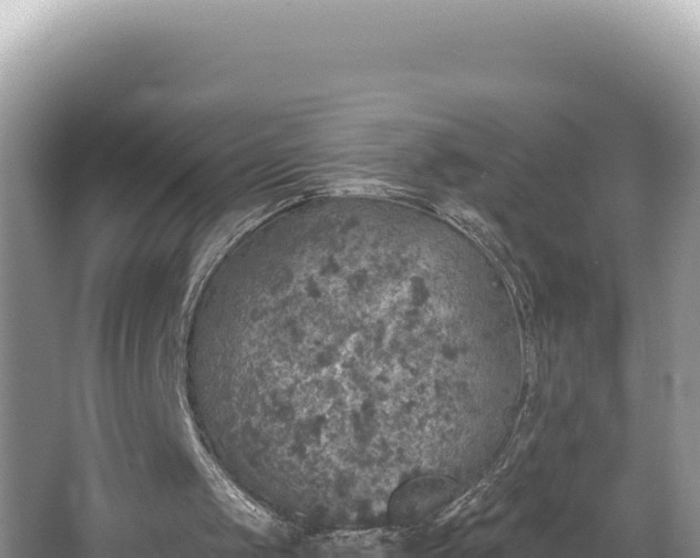 X0000067490049200604101306