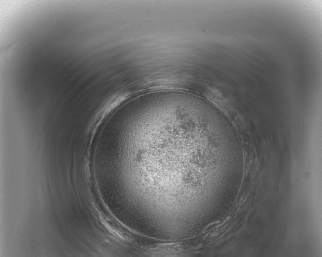 X0000067490050200604101306