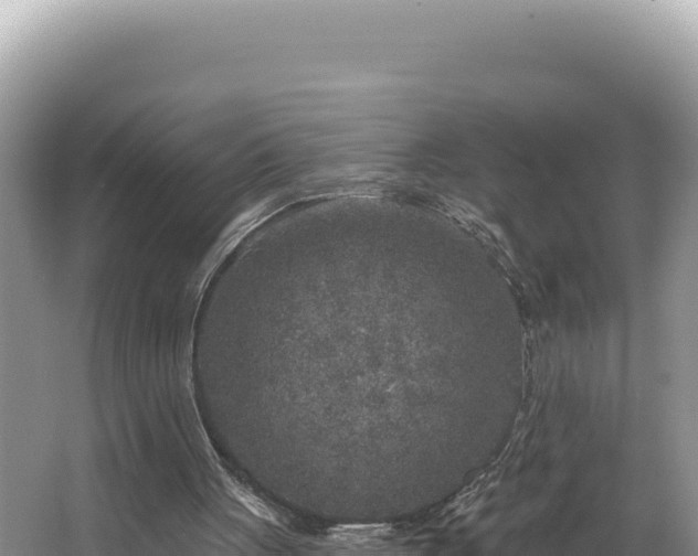 X0000067490051200604101306