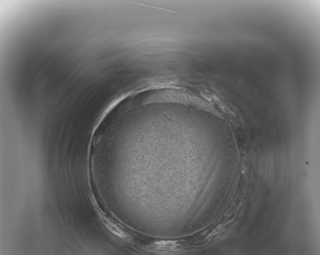 X0000067490052200604101306