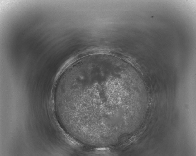 X0000067490053200604101306