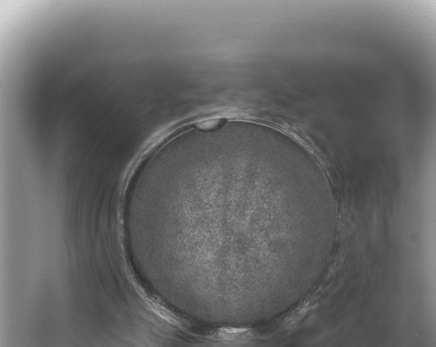 X0000067490055200604101306